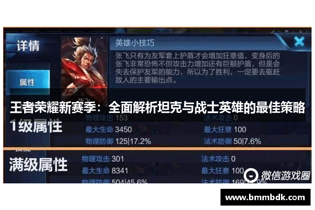 王者荣耀新赛季：全面解析坦克与战士英雄的最佳策略