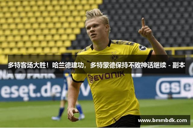 多特客场大胜！哈兰德建功，多特蒙德保持不败神话继续 - 副本