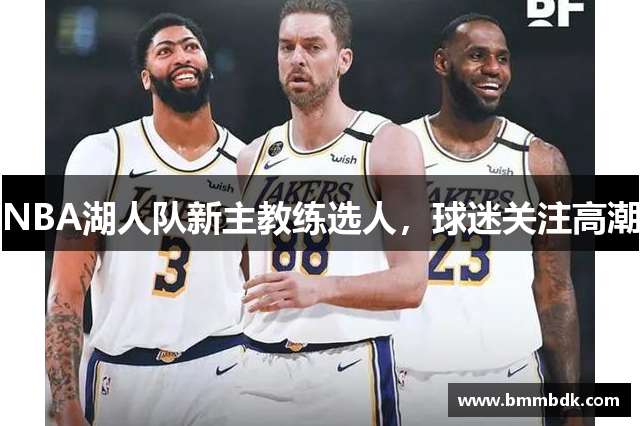 NBA湖人队新主教练选人，球迷关注高潮